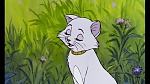The AristoCats picture