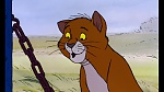 The AristoCats picture
