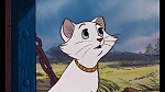 Image The AristoCats