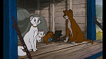 The AristoCats picture