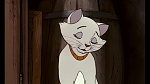 The AristoCats picture