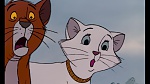 The AristoCats picture