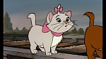 The AristoCats picture