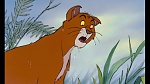 The AristoCats picture