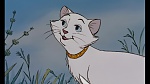 The AristoCats picture