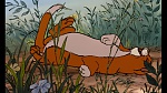 The AristoCats picture