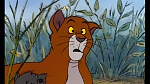 The AristoCats picture