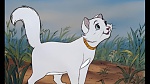 The AristoCats picture