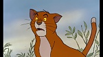 The AristoCats picture