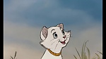 The AristoCats picture