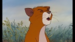 The AristoCats picture