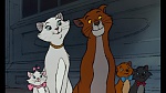 The AristoCats picture