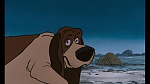 The AristoCats picture