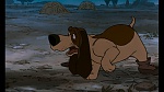 The AristoCats picture