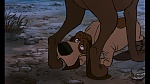 The AristoCats picture