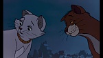 The AristoCats picture