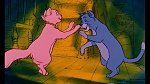 The AristoCats picture