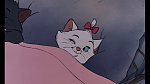 The AristoCats picture