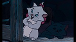 Image The AristoCats