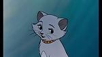 The AristoCats picture