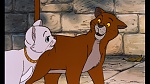The AristoCats picture