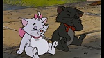 The AristoCats picture