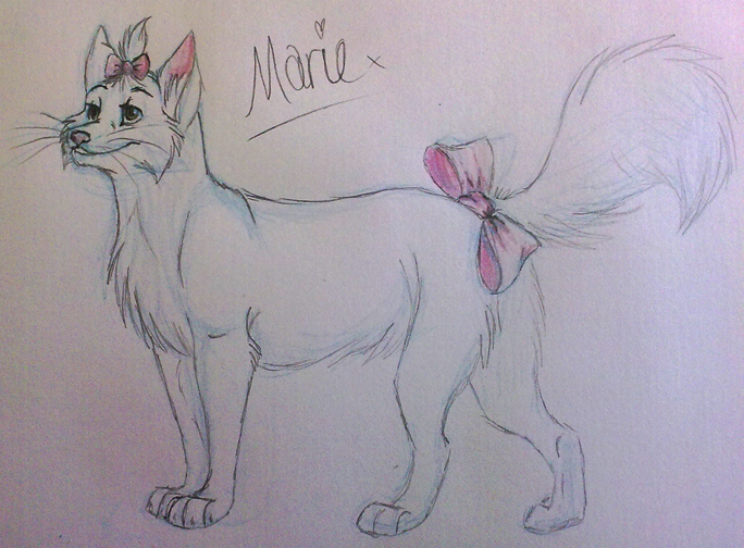 Adult Marie