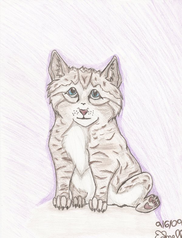 Kitten