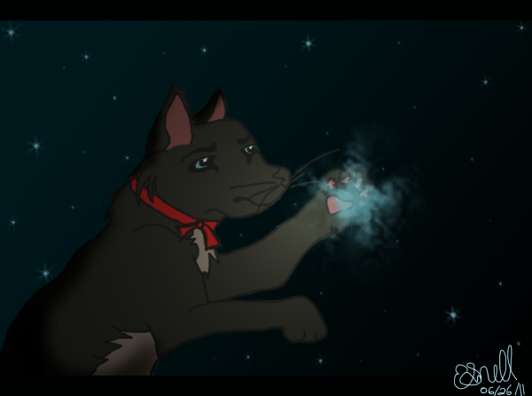 Reach for the Stars