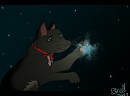 Reach for the Stars
