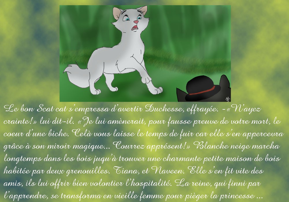Tout
