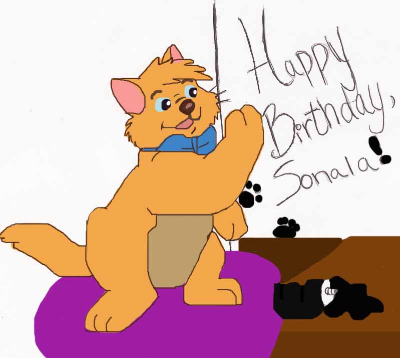 Toulouse birthday present
