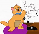 Toulouse birthday present