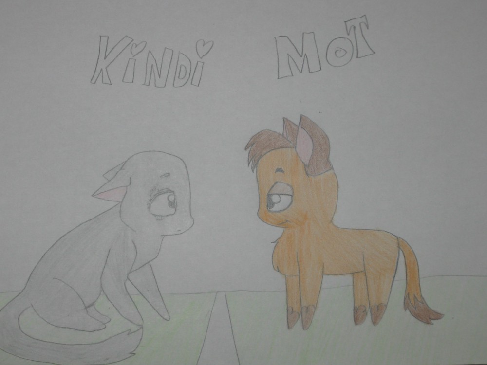 Kindi et Mott