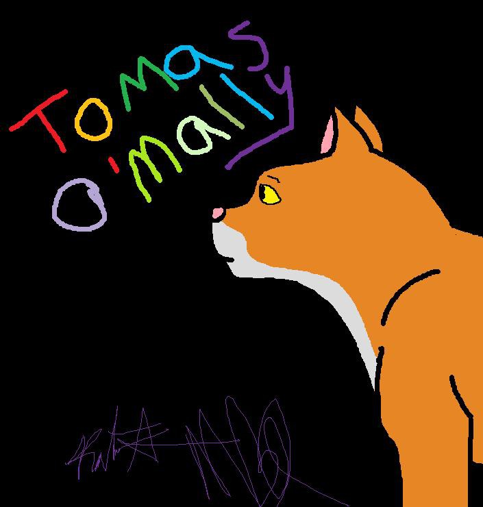 Thomas the alley cat