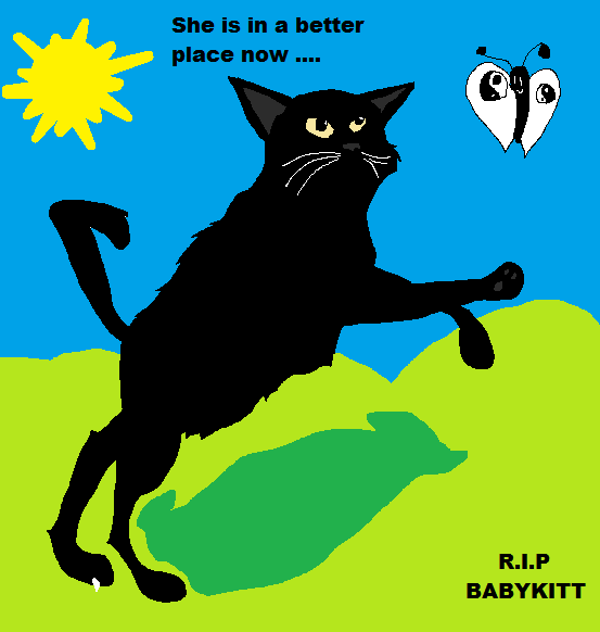 R.I.P. Babykitty