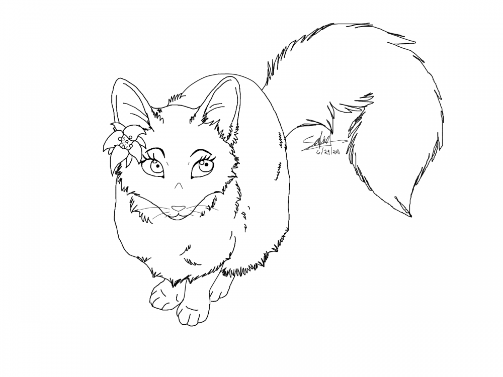 Lilly little Kitty