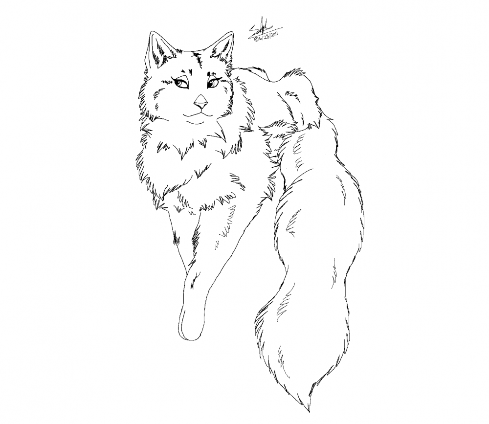 New character WIP