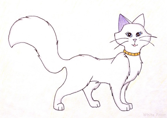 A picture of Duchess