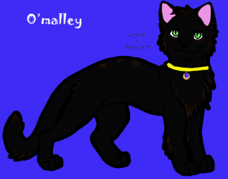 Detail O'Malley