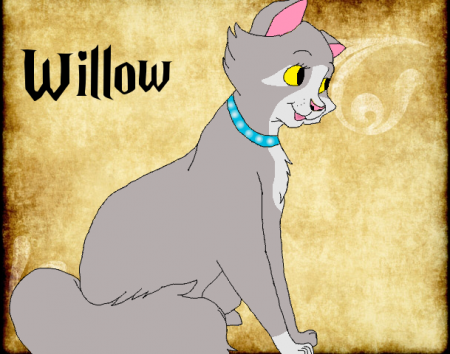 Detail Willow