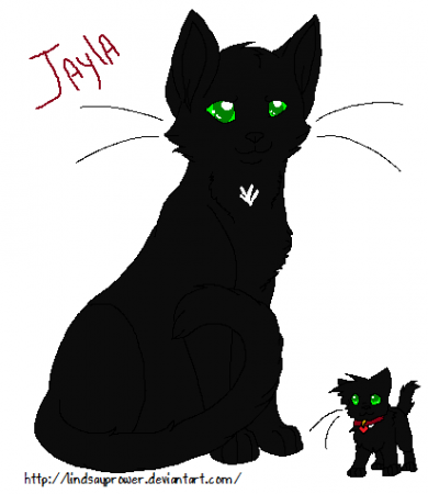Detail Jayla