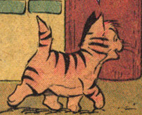 Detail Fitz 
