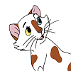 Cheri