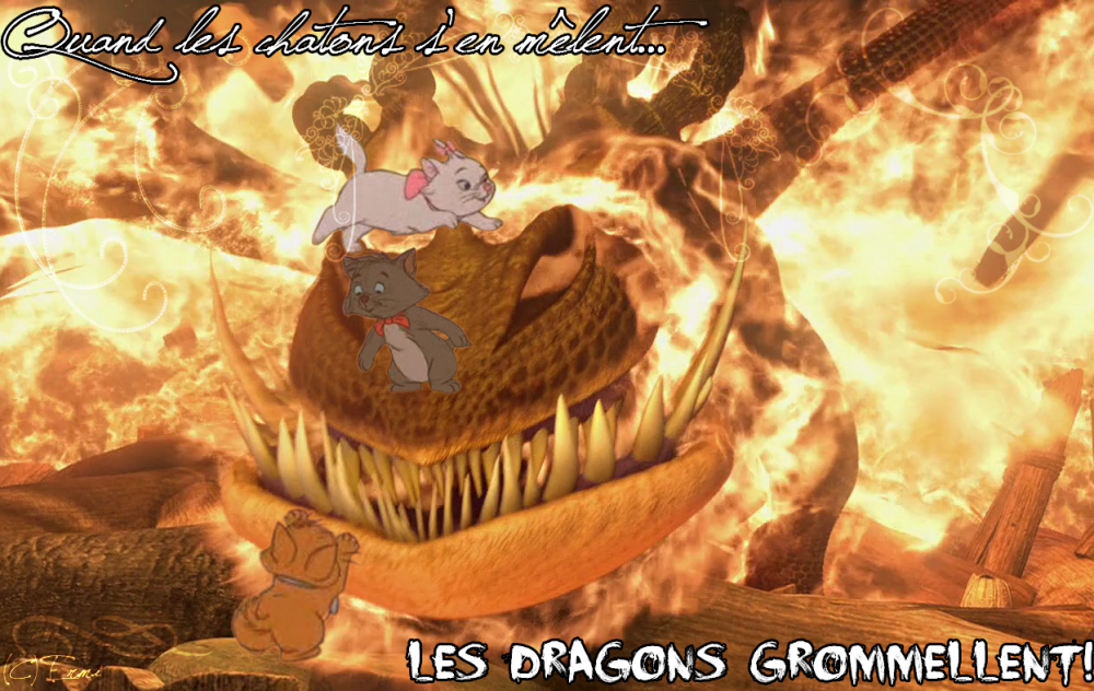 Dresseurs de dragons