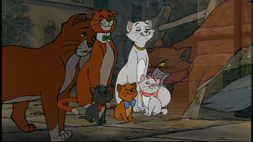meow