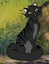 Kiki