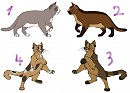 Adoption 1