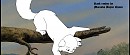 Free Female cat fluffy.READ RULES BEFORE USE