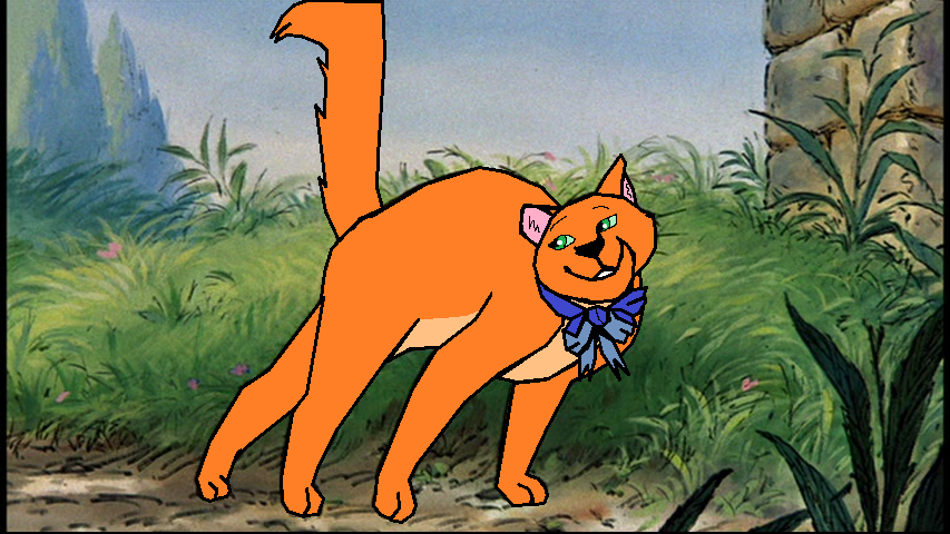 Adult Toulouse